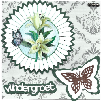 vlindergroet 2.jpg